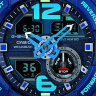 CASIO "G-SHOCK" GA-310-2A